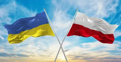 Польша-Украина: \"мобилизация\" для поддержки Киева и пограничный конфликт |  Euronews