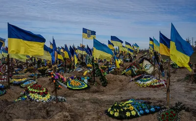В Европе рассказали, сколько Украина выполнила требований для вступления в  ЕС - Газета.Ru | Новости