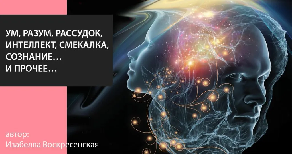 Ум: друг или враг?