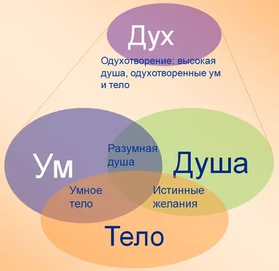 Ум, в котором нет ума. Дефицит энергии - недостаток для эволюции. Свобода  жить свободно. | Андрей Притиск | Нагваль Модест | Дзен