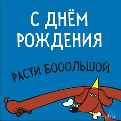 Прикольные картинки с днем рождения с юмором, веселыми и смешными  пожеланиями | С днем рождения, Открытки ко дню рождения, Смешные  поздравительные открытки