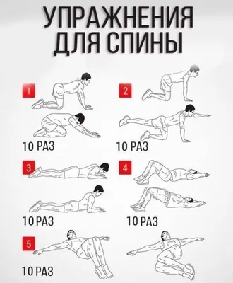 Упражнения для спины - красивые картинки (50 фото)