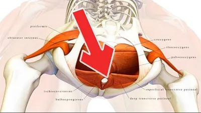 Умные\" шорты для упражнений Кегеля. Для мужчин