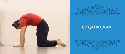 Гимнастика для всех отделов позвоночника и суставов / Упражнения при  артрозе и остеохондрозе - YouTube