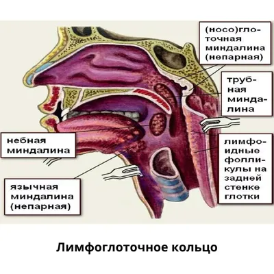 Остеохондроз грудного отдела позвоночника - симптомы и лечение