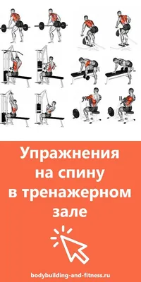 Упражнения на спину в тренажерном зале для мужчин | Тренировка спины,  Тренировки, Упражнения