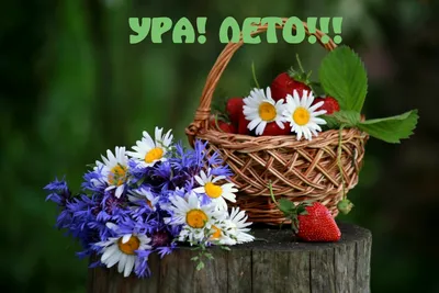 Ура! Лето! | Have a happy day, Beautiful day, Quilt patterns