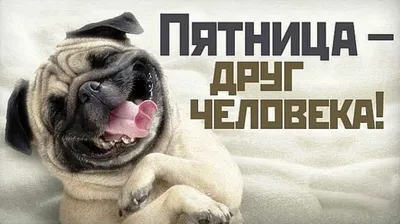 Ура! Пятница! Всем отличных выходных! | Hahata.ru