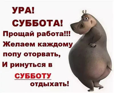 💃Ура, суббота! / Новости / Администрация Можайского городского округа