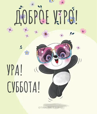 DOMKOTOV | Ура!!!!!!!!!! Суббота!!!!!!!!! | Дзен