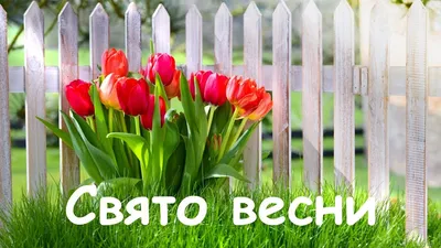 Весна пришла, Ура!🌺💖🌷 Пусть весна принесет новые эмоции и впечатления,  хорошее настроение и новые встречи🌟 \"Акварельные… | Instagram