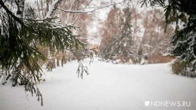 Доброе утро! ☀ Точно по календарю наступила зима! УРА!!!✨ Пусть эта зима  будет самой.. | ВКонтакте