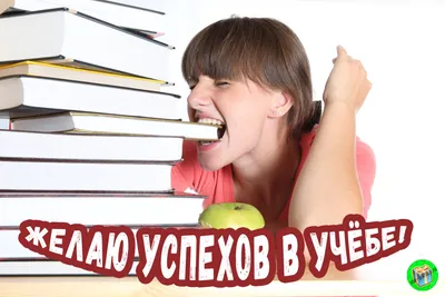 Грамота похвальная за успехи в учебе, диплом, А4, 10 ТМ Праздник 72277978  купить в интернет-магазине Wildberries