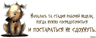 Ответ на пост «Устала готовить» | Пикабу