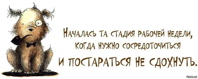 усталость :: Мемы (Мемосы, мемасы, мемосики, мемесы) :: всадники  апокалипсиса :: котэ (прикольные картинки с кошками) / смешные картинки и  другие приколы: комиксы, гиф анимация, видео, лучший интеллектуальный юмор.