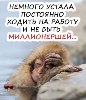 Прикольные картинки про усталость с надписью: юмор о сонном состоянии