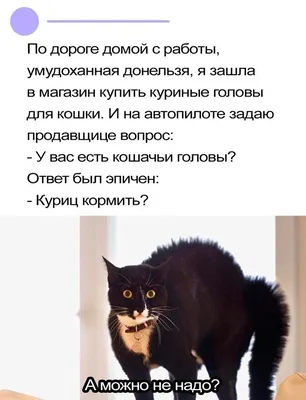 Хроническая усталость Автор: vk.com/ovoch_ari / Овощное искусство ::  Смешные комиксы (веб-комиксы с юмором и их переводы) / смешные картинки и  другие приколы: комиксы, гиф анимация, видео, лучший интеллектуальный юмор.