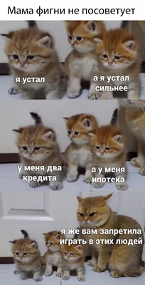 Усталость: истории из жизни, советы, новости, юмор и картинки — Горячее |  Пикабу