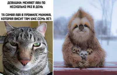 Совсем устала, бедняжка. | Пикабу