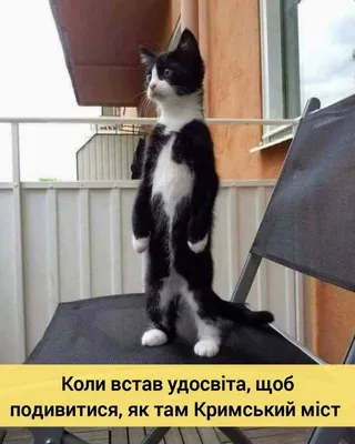 https://journal.tinkoff.ru/foolish-things-fatigue-cases/