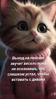 Ежедневник недатированный А5 с принтом \"медведь устал. not today. мем.  юмор\", 136 листов, в линейку, цвет белый - купить с доставкой по выгодным  ценам в интернет-магазине OZON (1173813190)