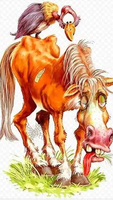 уставшая лошадь, Fatima, Буэнос айрес | Pikist