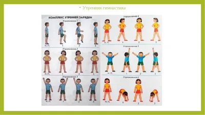 Гимнастика для беременных, физические упражнения при беременности в  картинках
