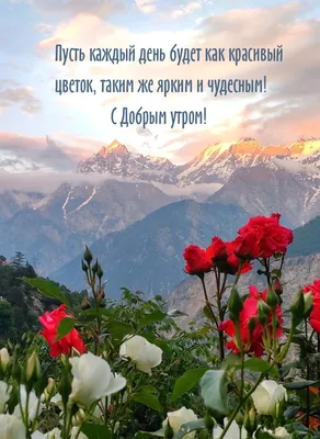 С добрым утром!#видеооткрытка #открыткасдобрымутром#открытка #рекоменд... |  TikTok