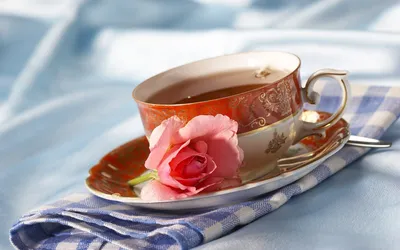 Чай Утро Зеленый - Бесплатное фото на Pixabay - Pixabay