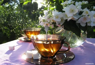 Чай \"Доброе утро'' - рецепт автора Виталий 🌳