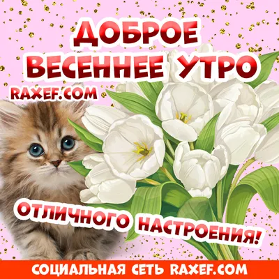 Открытки \"С Добрым Утром!\" (4057 шт.)