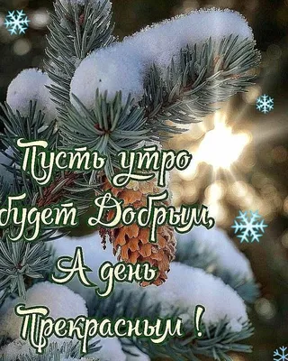 Кружка Сувенириус \"Утро добрым не бывает\", 330 мл, 1 шт - купить по  доступным ценам в интернет-магазине OZON (334058648)