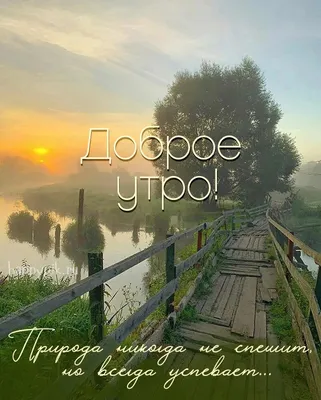 Утро (картина Яблонской) — Википедия