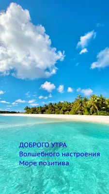 Доброе утро море цветы (55 фото) - 55 фото