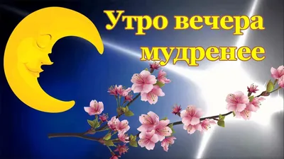 Утро вечера мудренее.