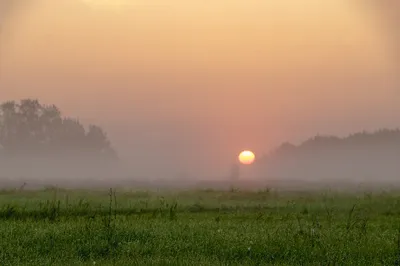 живописный вид на восход солнца над туманным лесом, восход солнца картинки  утро, Восход солнца, утро фон картинки и Фото для бесплатной загрузки