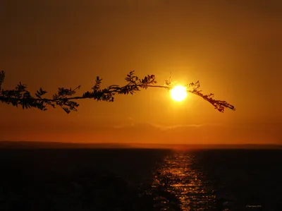 Доброе утро, восход солнца. Стоковое Изображение - изображение  насчитывающей горизонт, пасмурно: 231152931