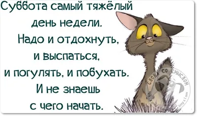 Прикольные картинки: утро воскресенья (30 картинок) от 4 февраля 2018 |  Екабу.ру - развлекательный портал