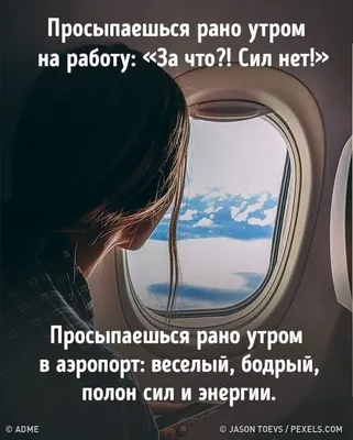 Просыпаешься рано утром на работу: \"За что?! Сил нет!\" Просыпаешься рано  утром в аэропорт: веселый, бодрый, полон сил … | Веселые картинки,  Случайные факты, Энергия