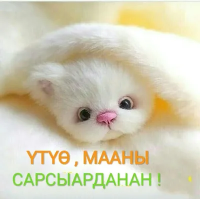 Дорооболоруҥ! | Үтүө сарсыарданан! | ВКонтакте