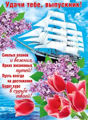 В добрый путь, выпускники!.. | «Средняя общеобразовательная школа №41»