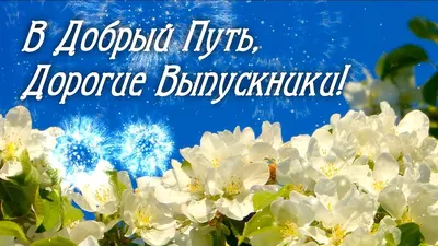 🌾 в добрый путь Всем привет. Вот и подошло к концу очередное насыщенное  событиями лето. Сегодня.. | ВКонтакте