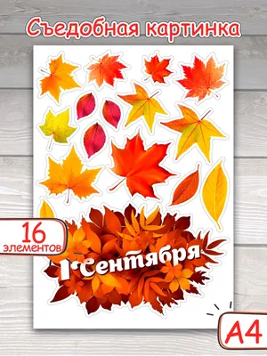 Съедобные картинки на вафельной бумаге \"1 сентября\", 16 элементов - купить  с доставкой по выгодным ценам в интернет-магазине OZON (1027181266)