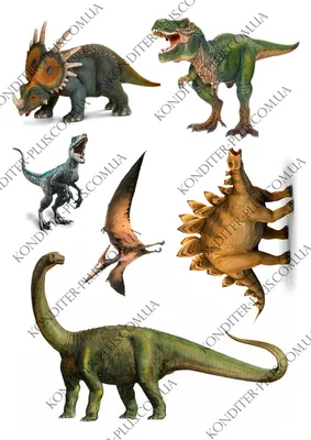 Торты с 3D-изображением динозавров — купить по низкой цене на Яндекс Маркете