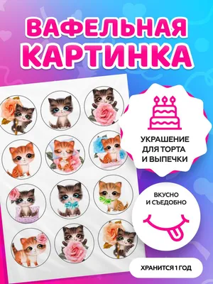 Вафельные картинки на торты \"Леди Баг и Супер Кот\" №008 на торт, маффин,  капкейк или пряник | \"CakePrint\"™ - Украина