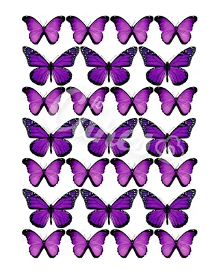 Вафельные картинки «Бабочки» - купить Вафельные картинки в  интернет-магазине Forcakes.kz