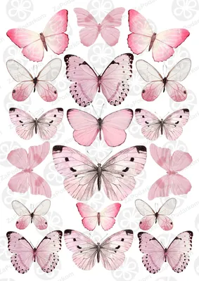 Вафельная картинка Бабочки розовые нежные ᐈ Купить в Киеве | ZaPodarkom