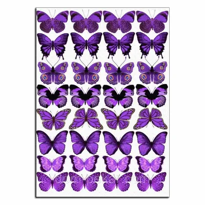 Бабочки фиолетовые вафельная картинка от интернет-магазина «Домашний  Пекарь» с оперативной доставкой