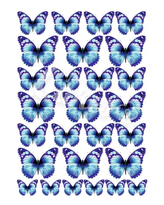 Вафельные картинки «Бабочки» - купить Вафельные картинки в  интернет-магазине Forcakes.kz
