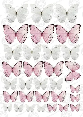 Вафельная картинка Бабочки бело-розовые ᐈ Купить в Киеве | ZaPodarkom